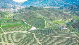 南平松溪县：湛卢“锋”从何出