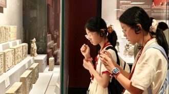 河南：暑期“文博热”持续升温