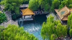 “趵突腾空”胜景上线，趵突泉水位迎来“七连涨”